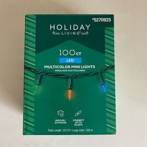 100ct Multi Color LED Christmas Lights